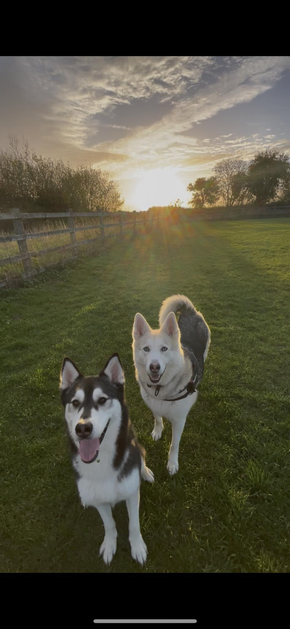 Luna and Moon