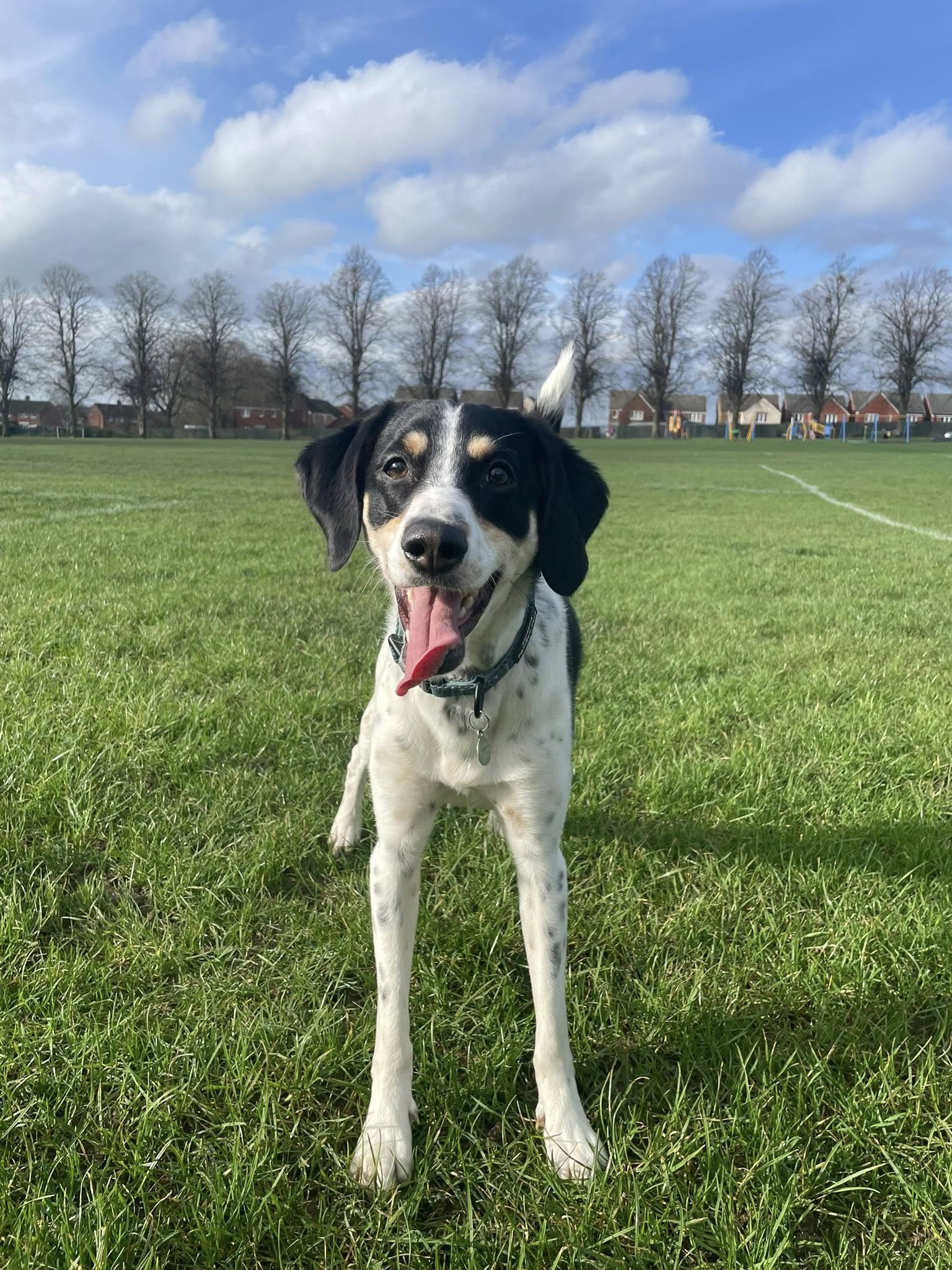 Otis